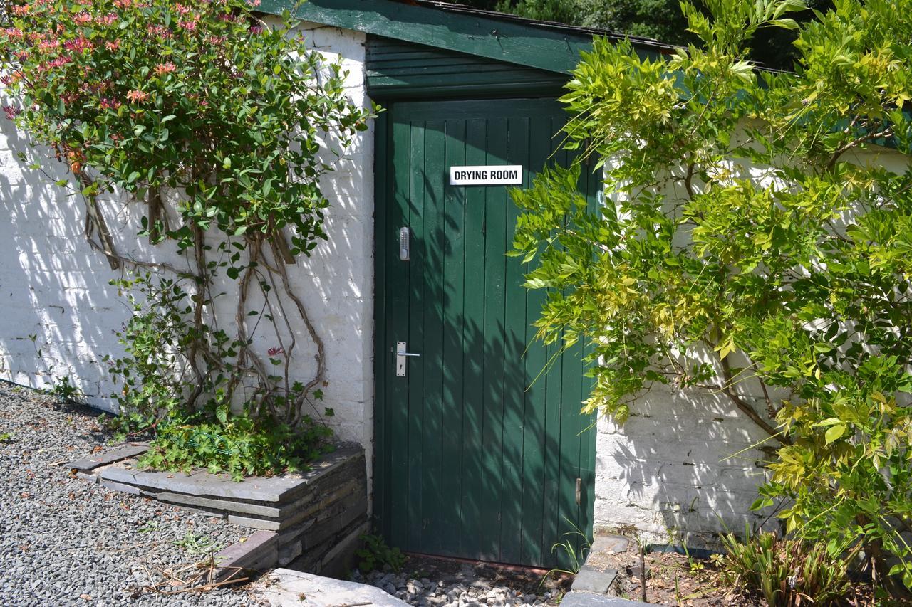 Coed-Y-Fron Bed & Breakfast Betws-y-Coed Eksteriør bilde